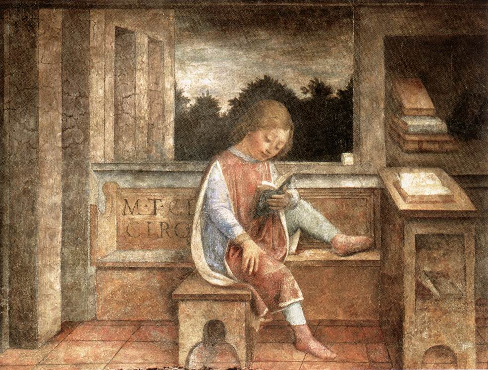 Young Cicero's Reading