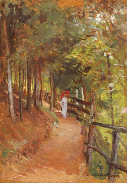 Procházka Sinaia Forest - 1902