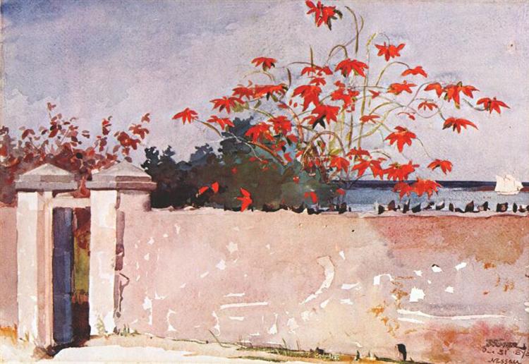 Een muur - Nassau - 1898
