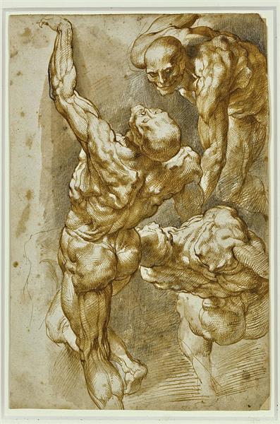 Studi anatomici di tre figure maschili.