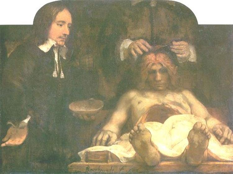 Anatomy of Dr. Deyman - 1656