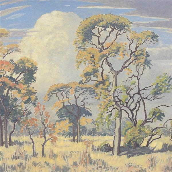Bushveld lovecká rezerva