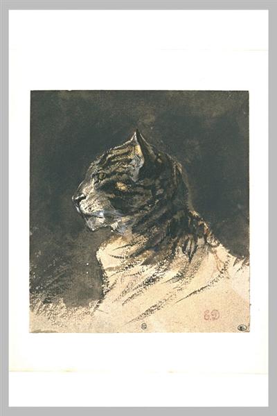 Cabeça de gato
