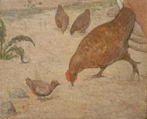 Coq (Détail de la Vie Pastorale de Sainte Geneviève de Puvis de Chavannes au Panthéon de Paris)
