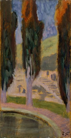 Ciprès (Villa Falconieri - Frascati)