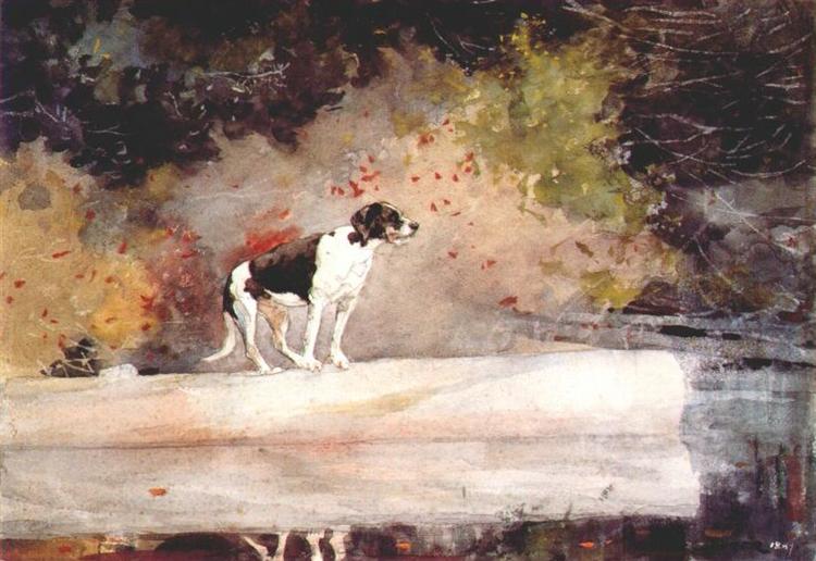 Chien dans un coffre - 1889