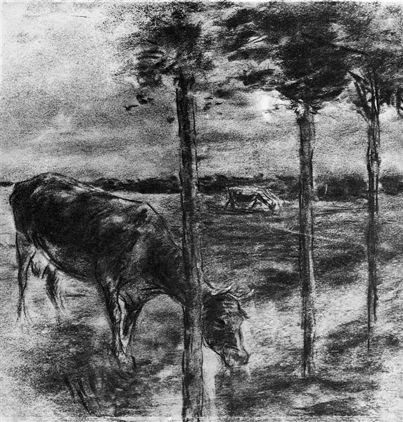 Cow Drinking