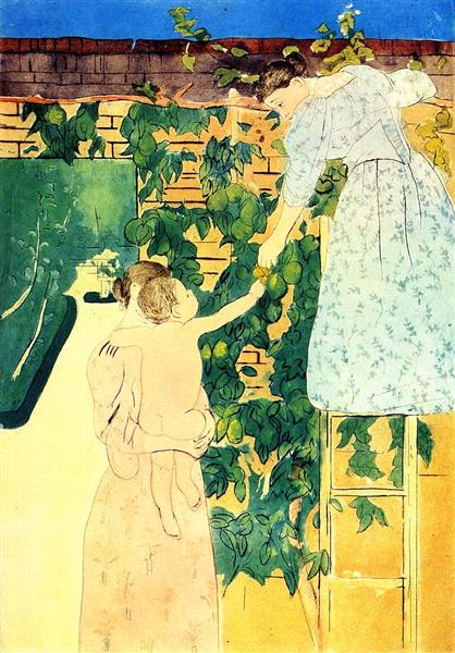 Colhendo Frutas - 1893