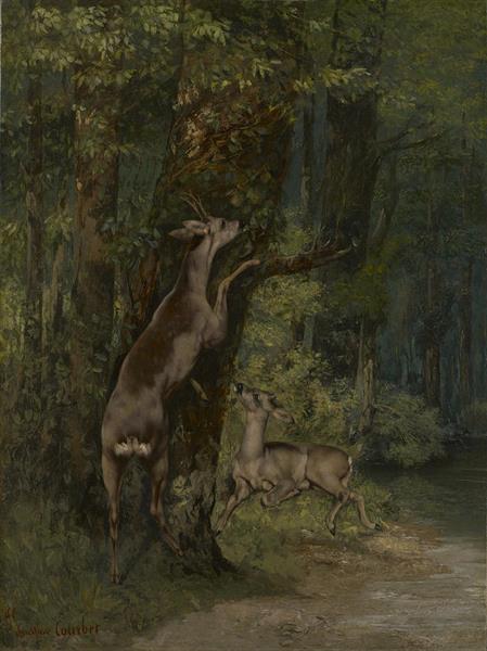 Hjort i skogen