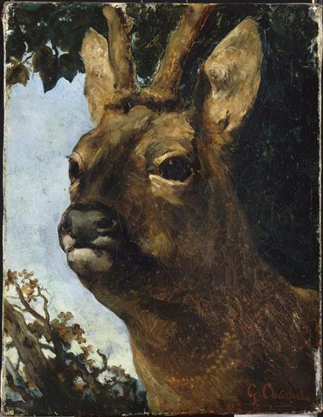 Capo di una gamma giovane