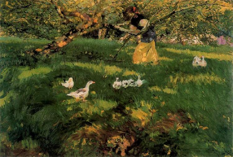 Beite gjess i Asturias - 1903