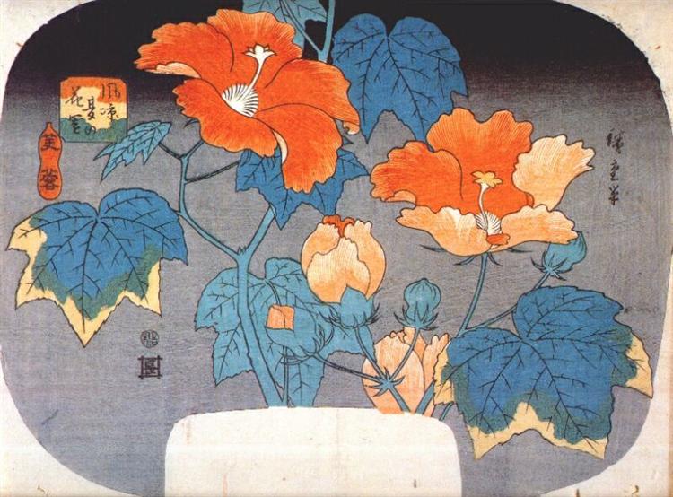 Hibiskus - 1845