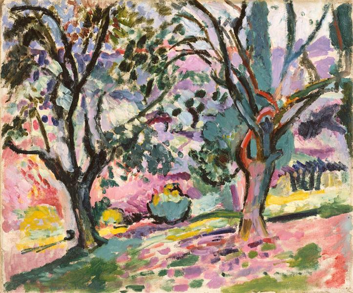 Olivos w Colloure 1906