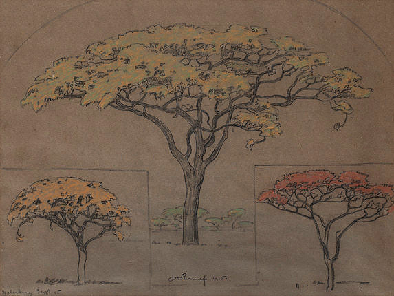 BoomStudies - Waterberg - Collection privée de Dinksfãstan - 1915