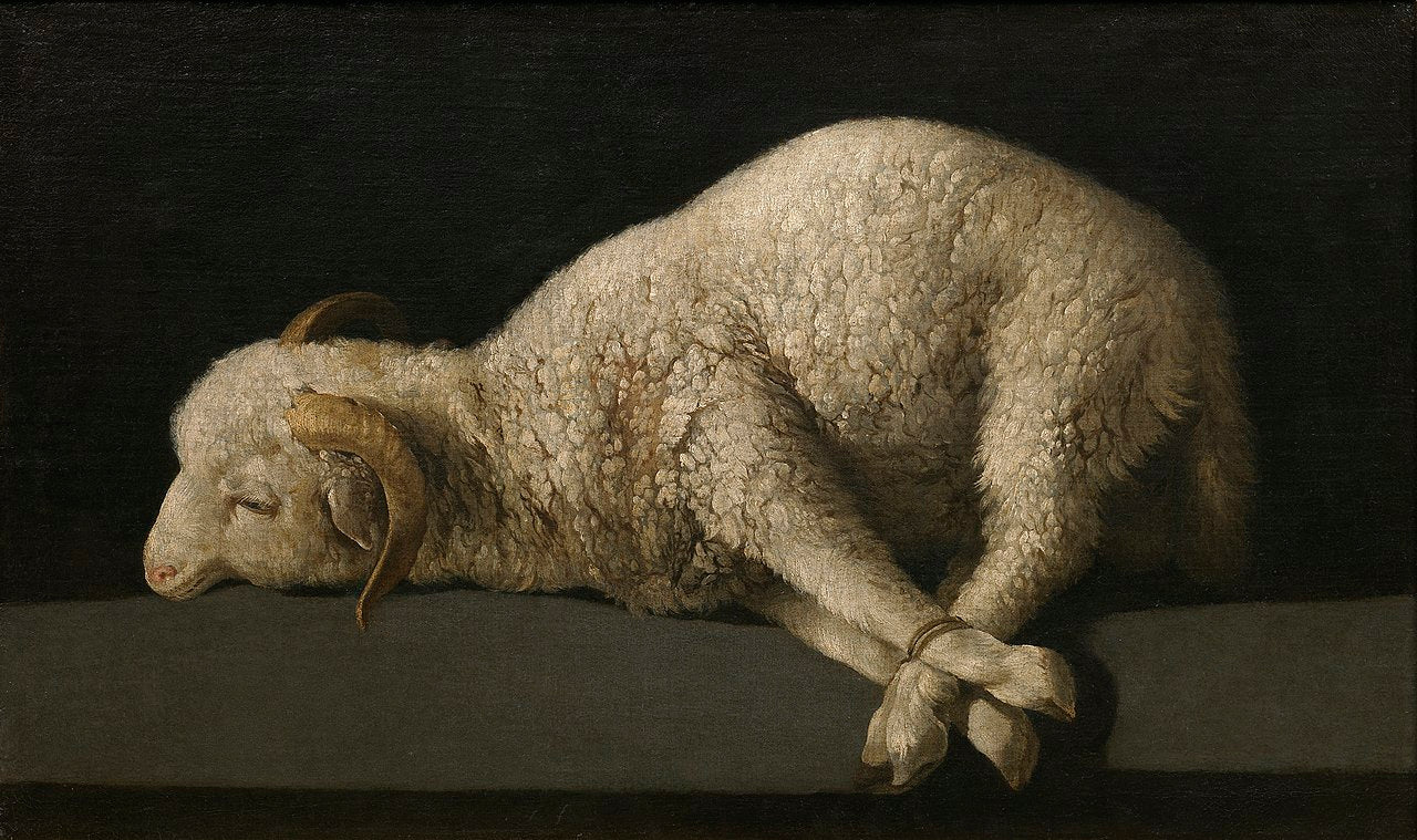 AGNUS DEI