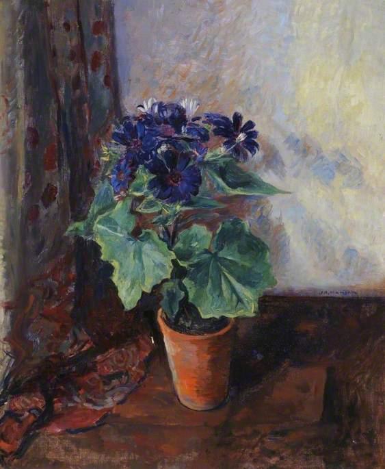 pintura Cineraria - James Bolivar Manson