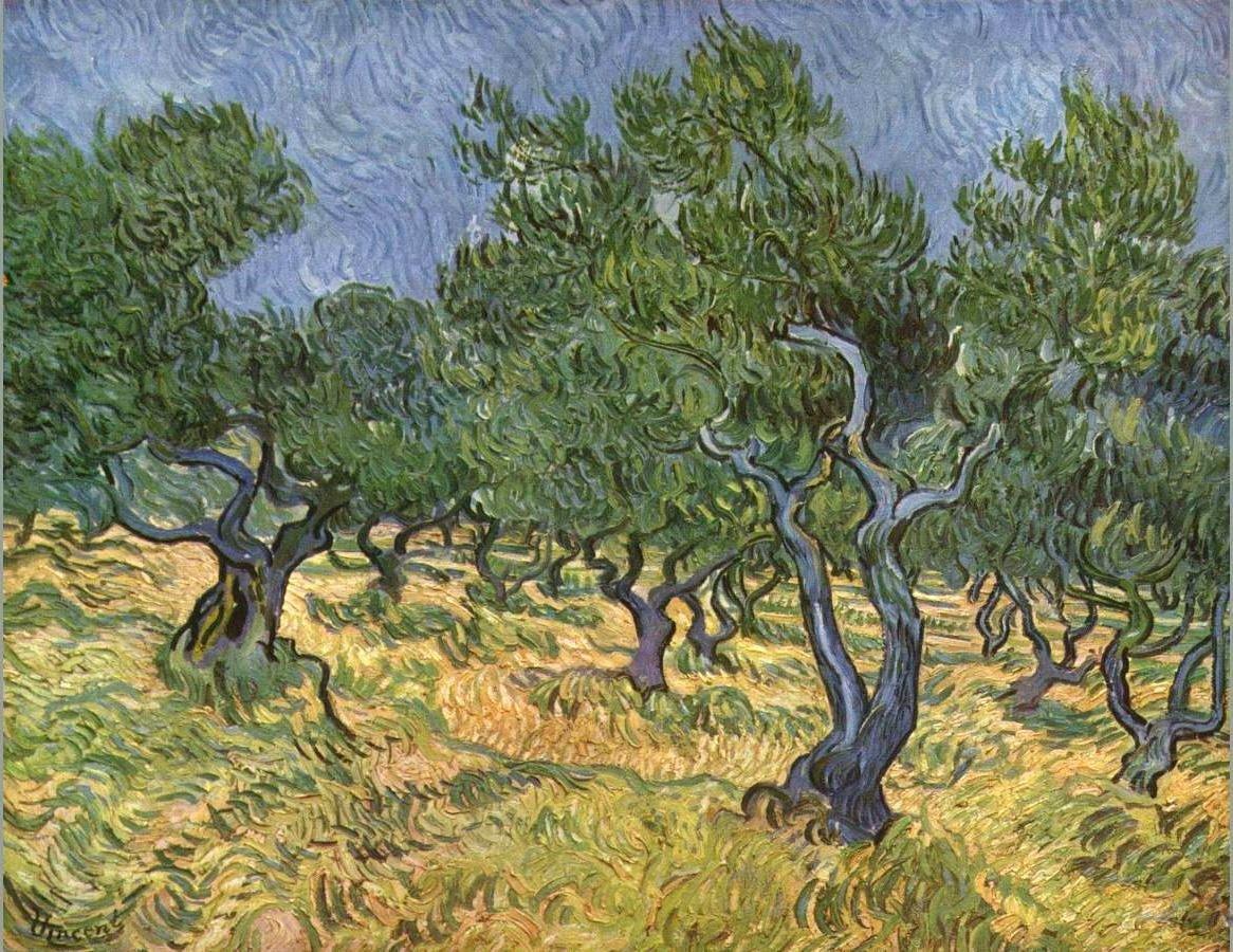 pintura Surco De Olivos - Vincent Van Gogh