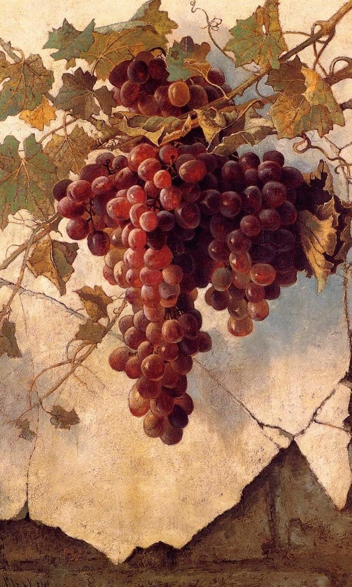 pintura Uvas Contra Un Muro De La Misión - Edwin Deakin