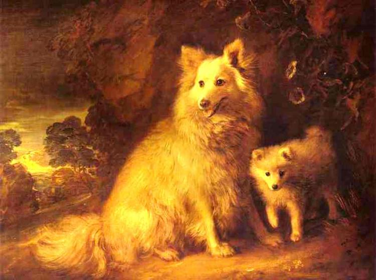Pomeranian tæve og hvalp - 1777