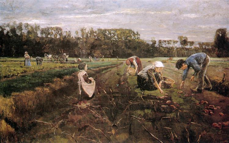 Potato collectors