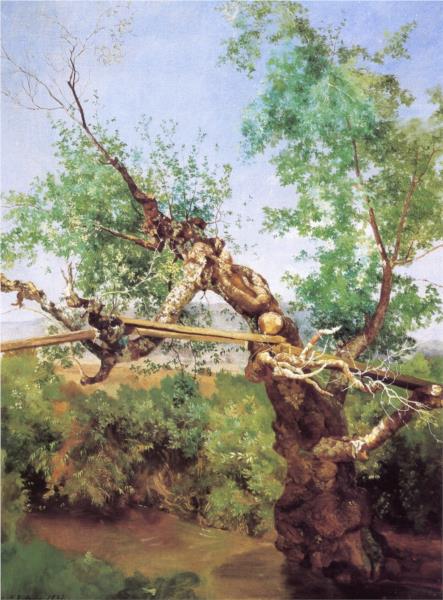 Rustikální most na řece San Ángel - 1862