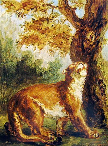 Puma (Lioness Looking Prey) - 1859