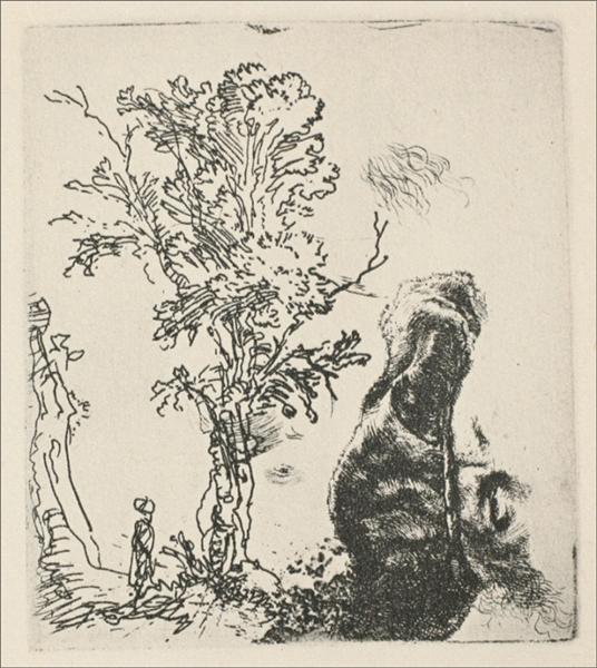 Schizzo di un albero - 1638