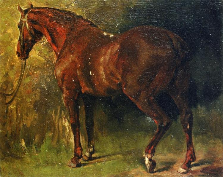Mr. Duvals engelske hest