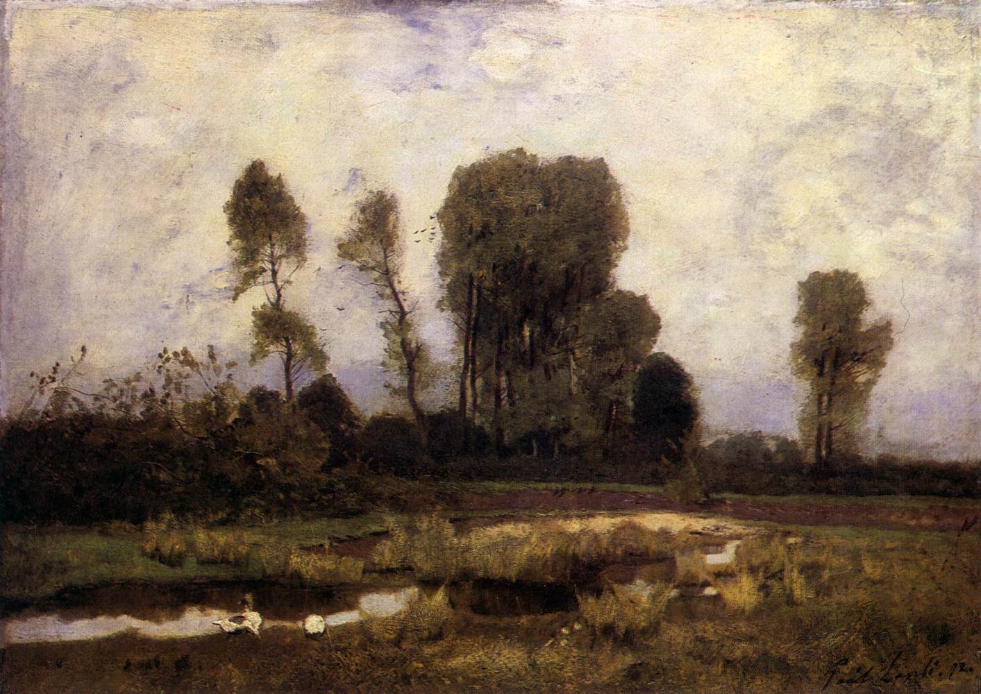 Metsän reuna