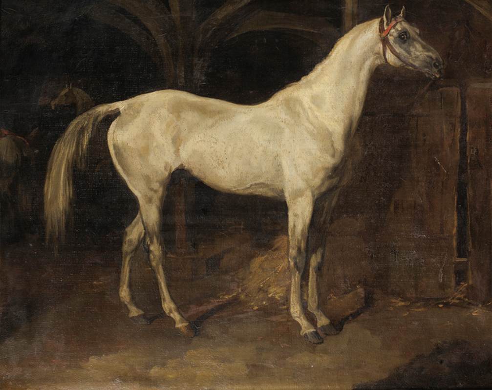Cheval gris appelé L'lly