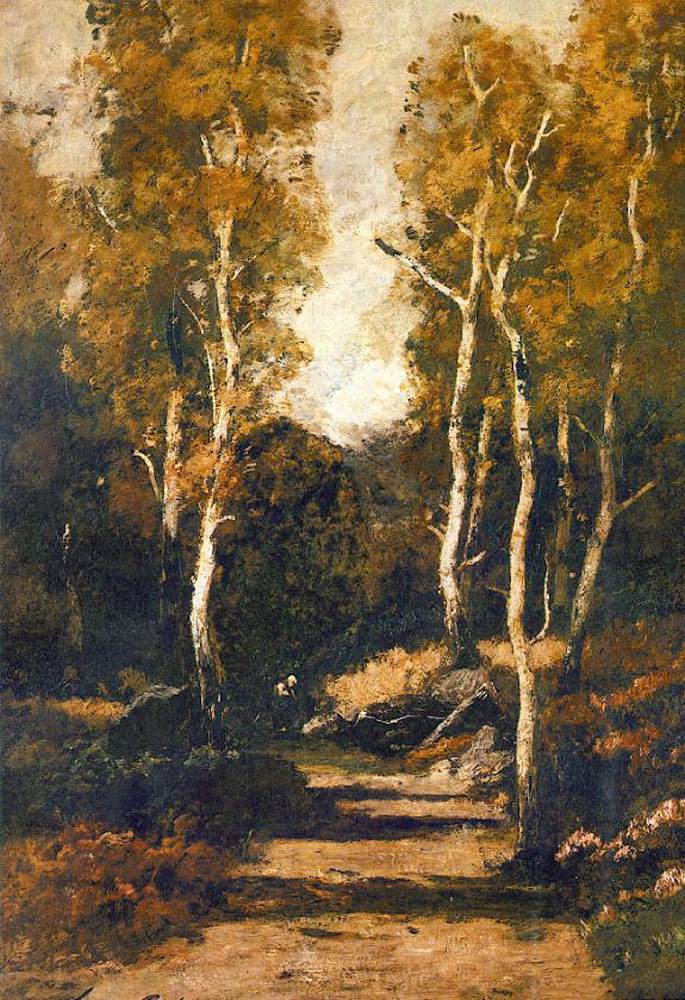 forest path