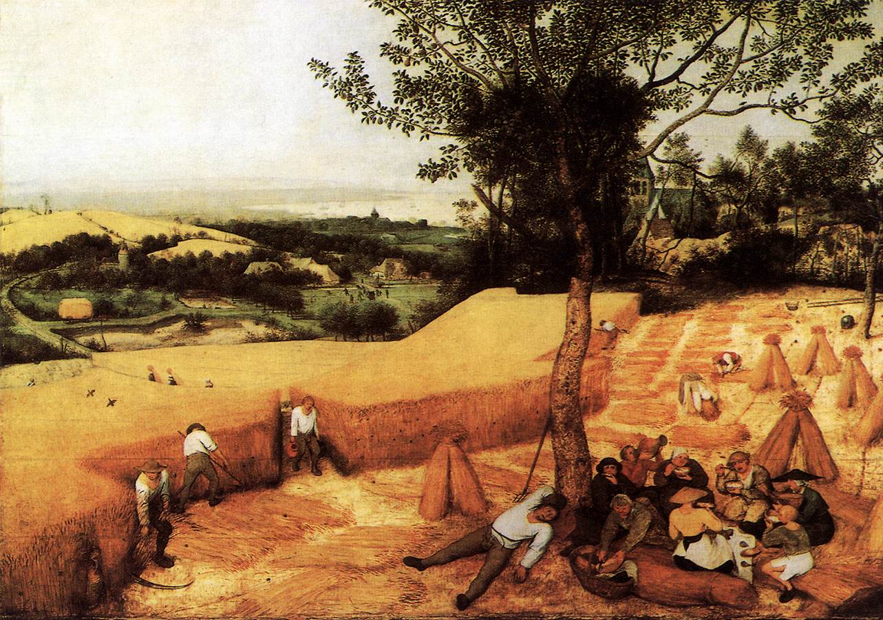 Die Maisernte (August)