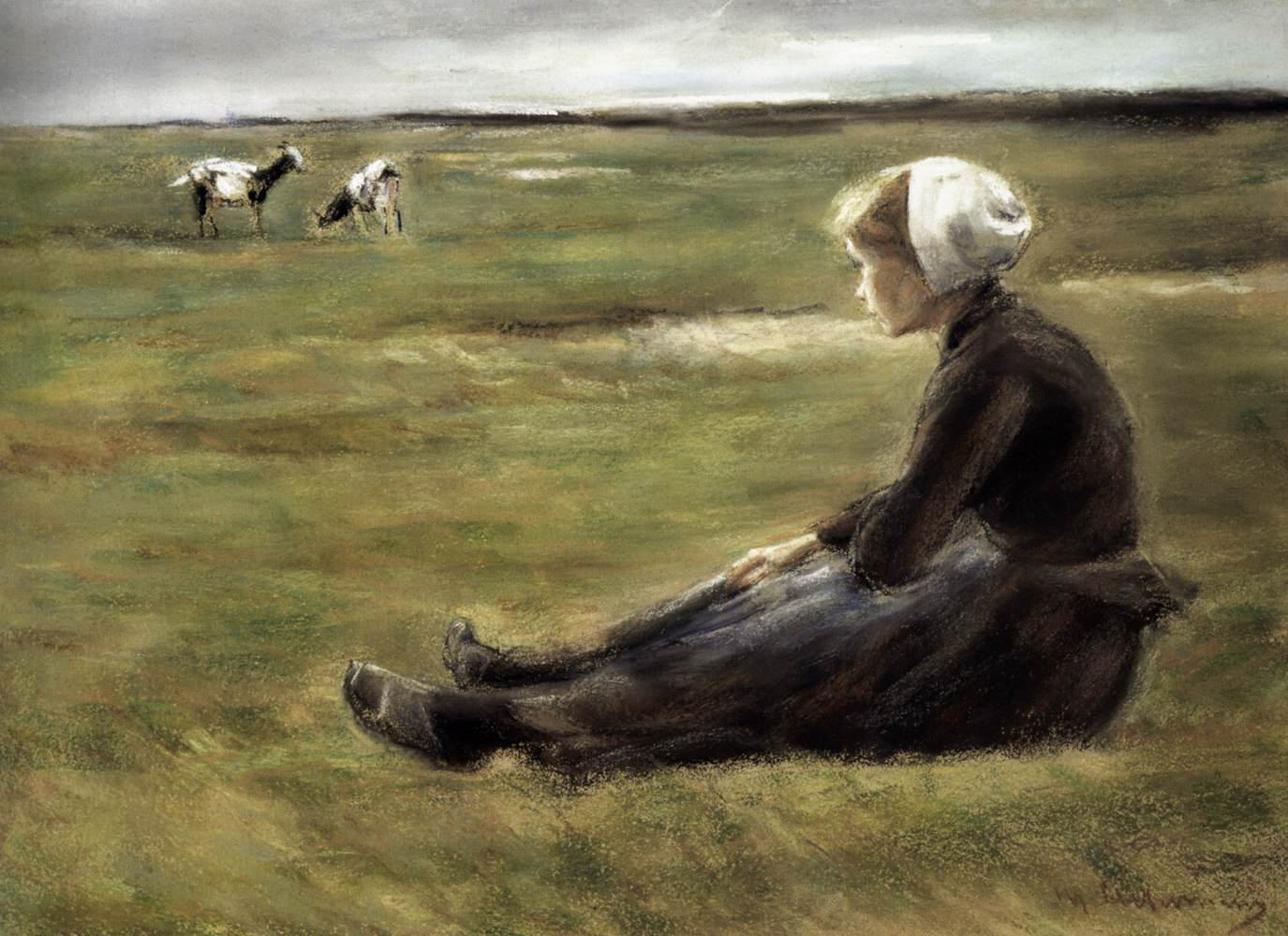 시골에서