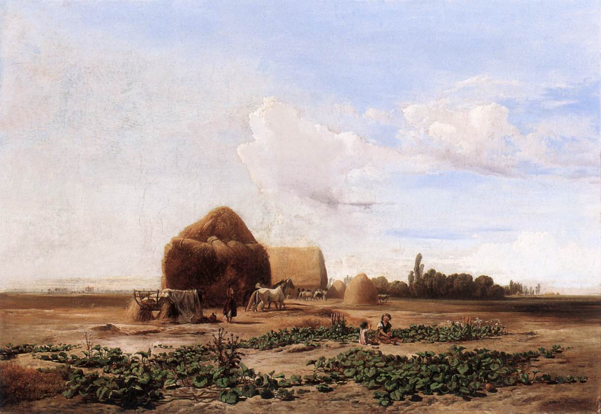 Récolte de pastèque