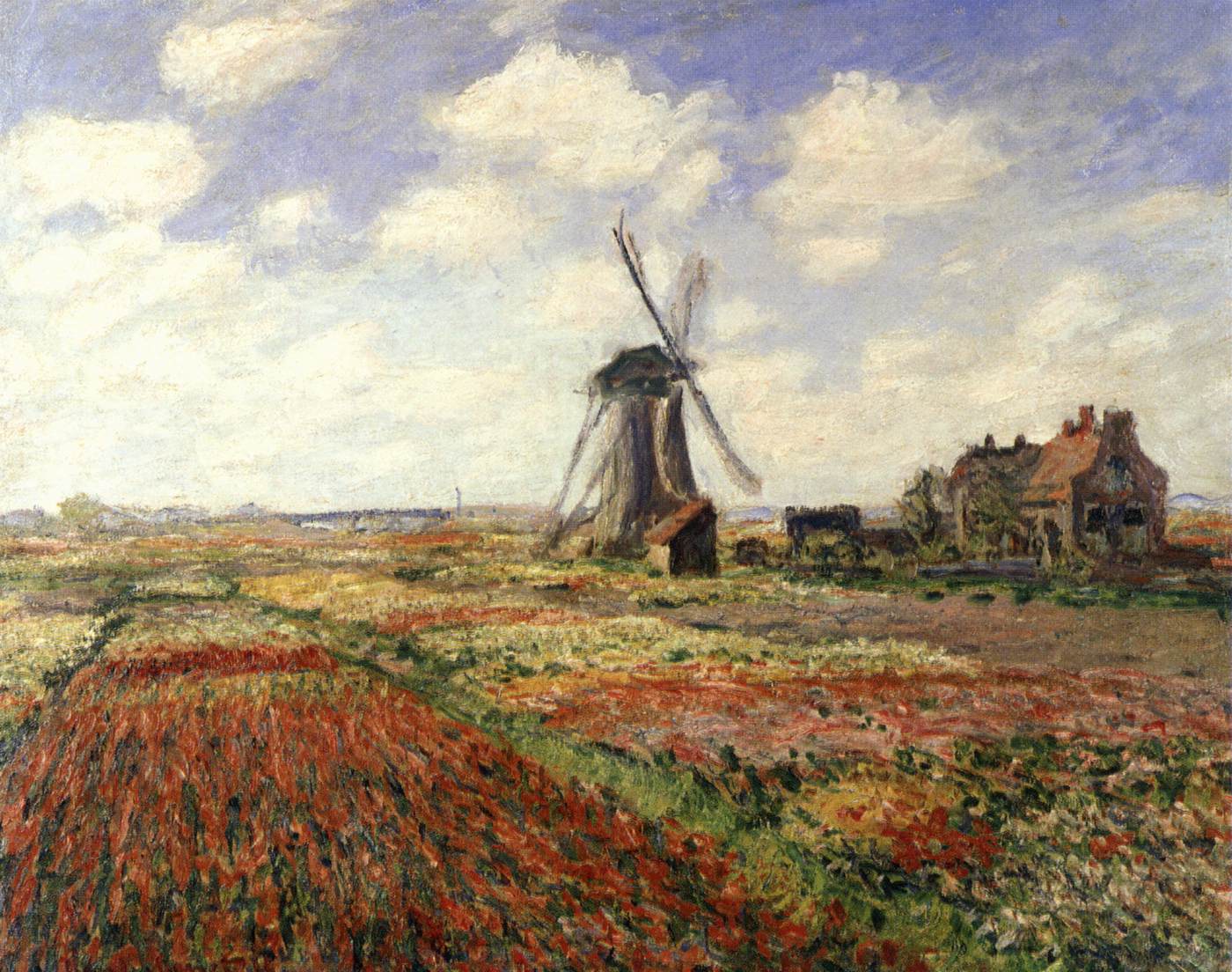 Hollanda'daki Tulipan Fields