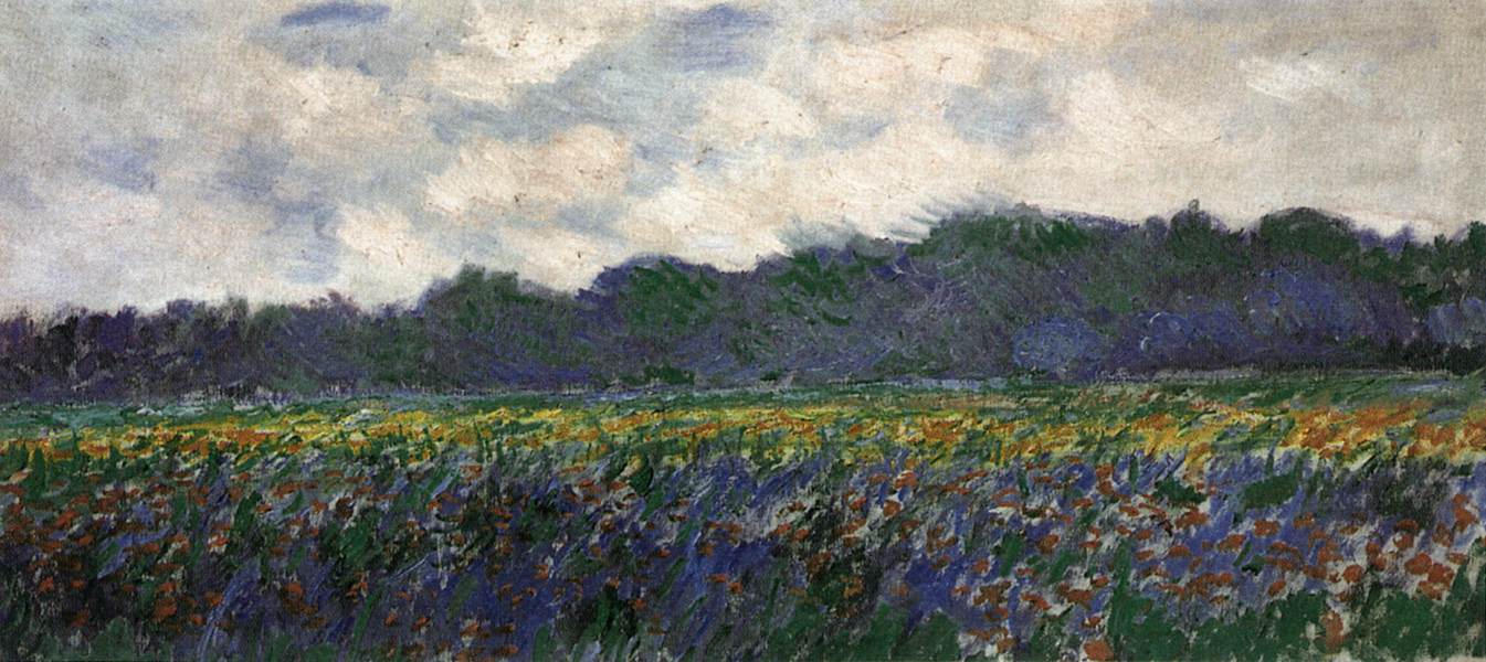 Geel iris veld in giverny