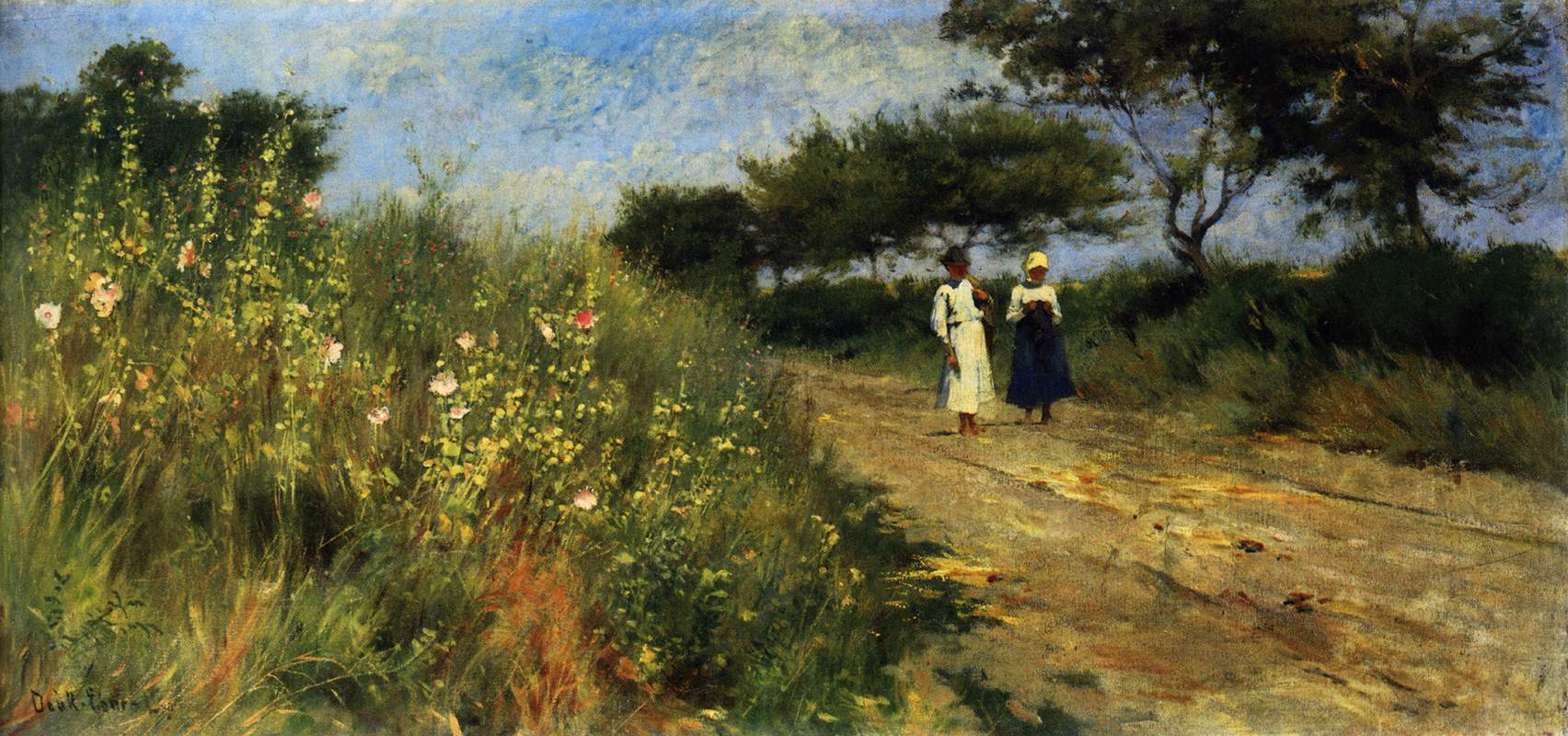 Estrada dos Malvaviscos Selvagens