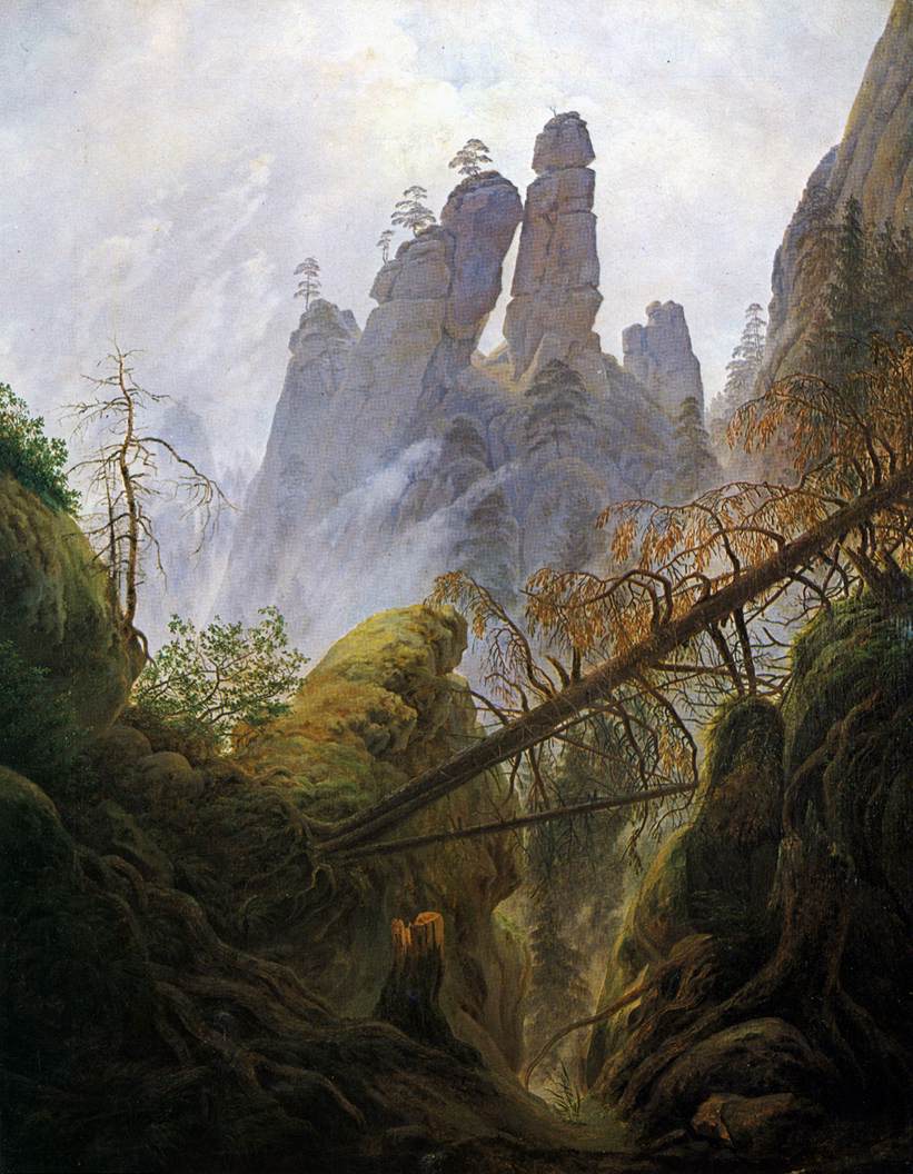 Forêt rocheuse