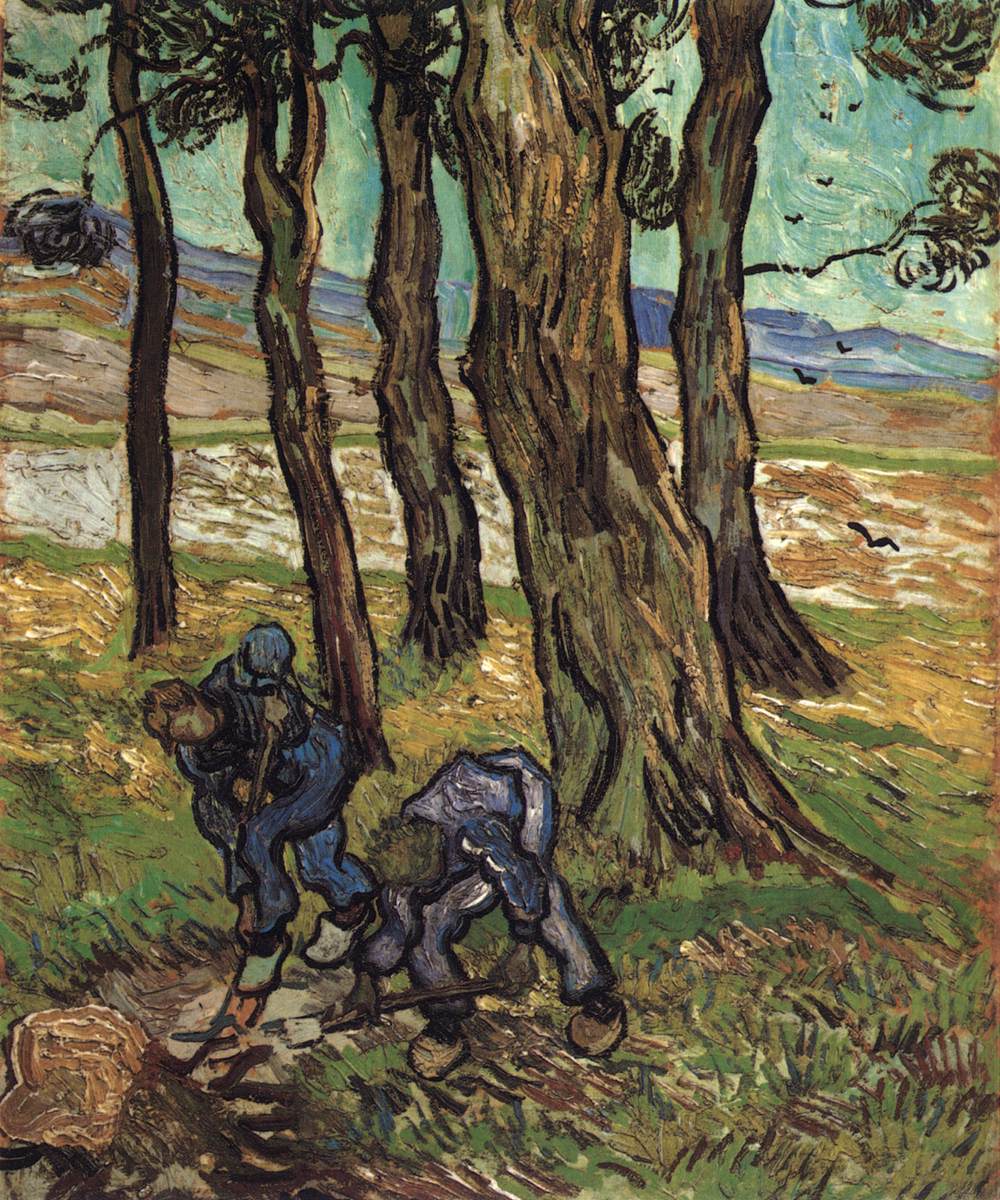 Twee graafmachines tussen bomen