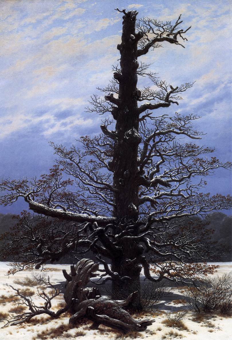 Karda Oaktree