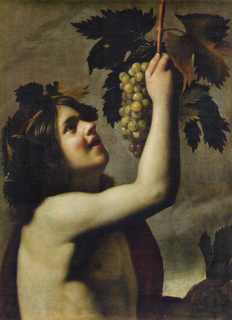 Genç Bacchus