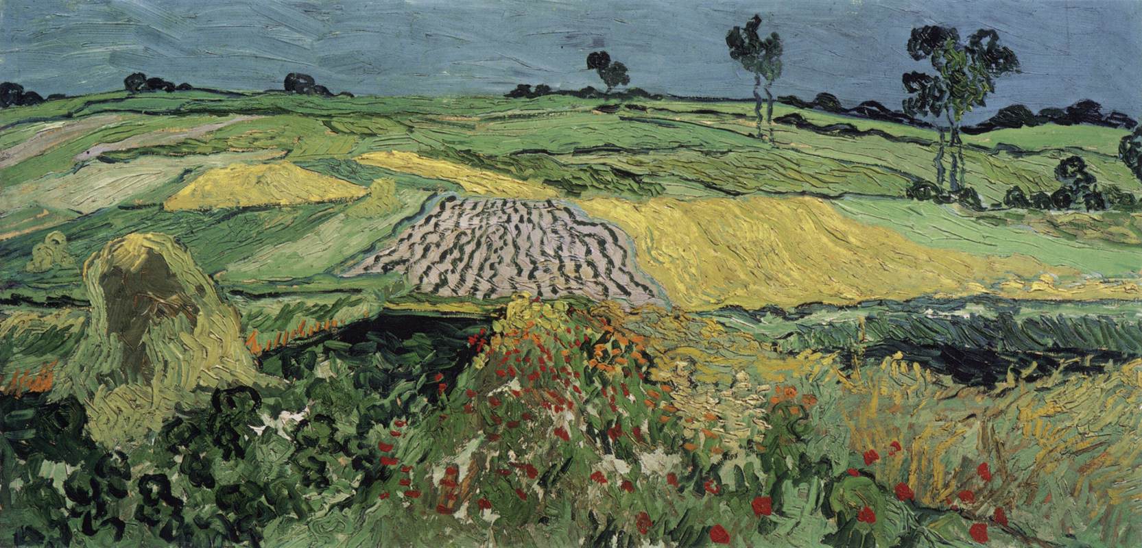 Wheat Fields: The Auvers Plain