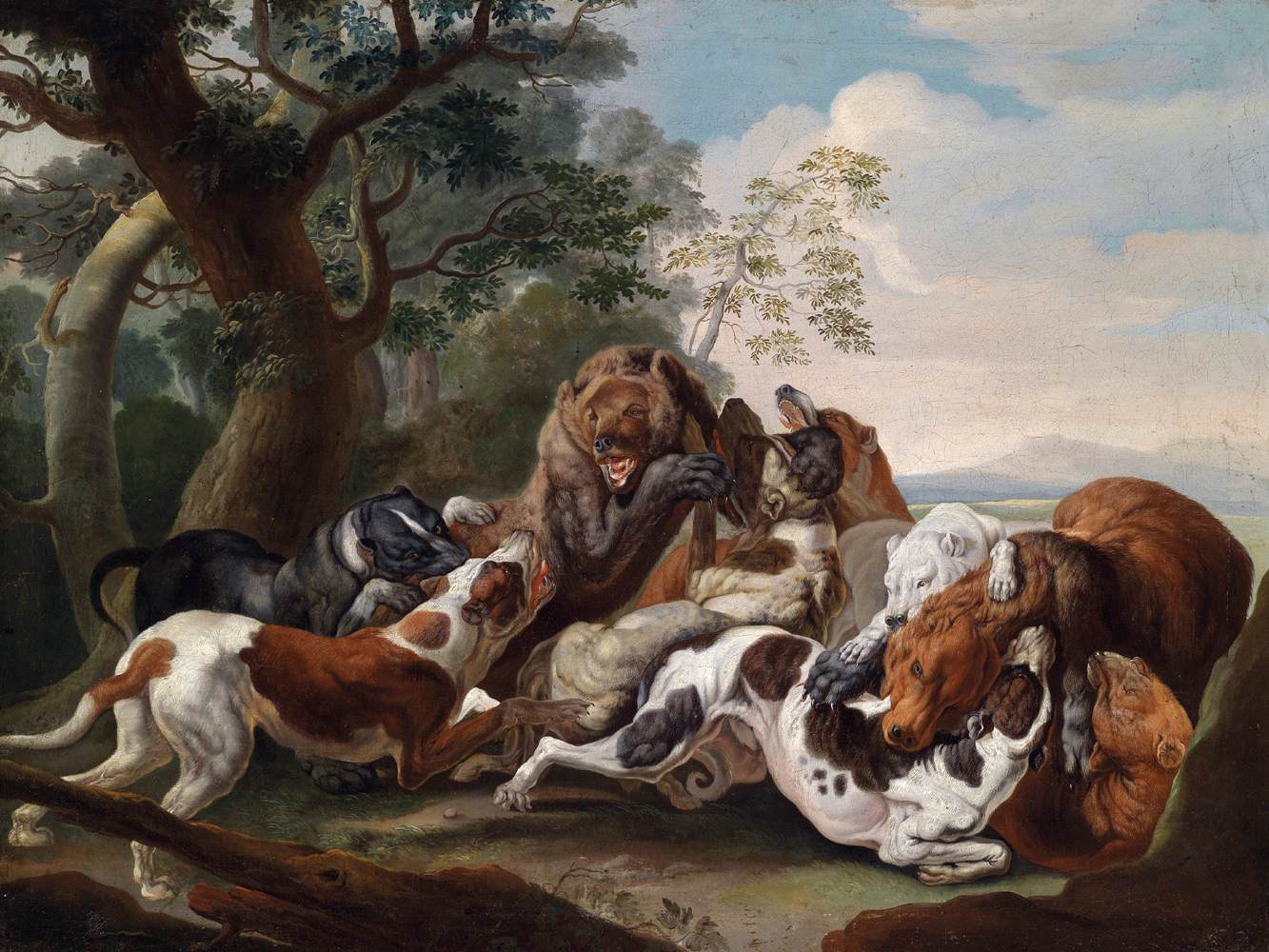 Chasse des ours