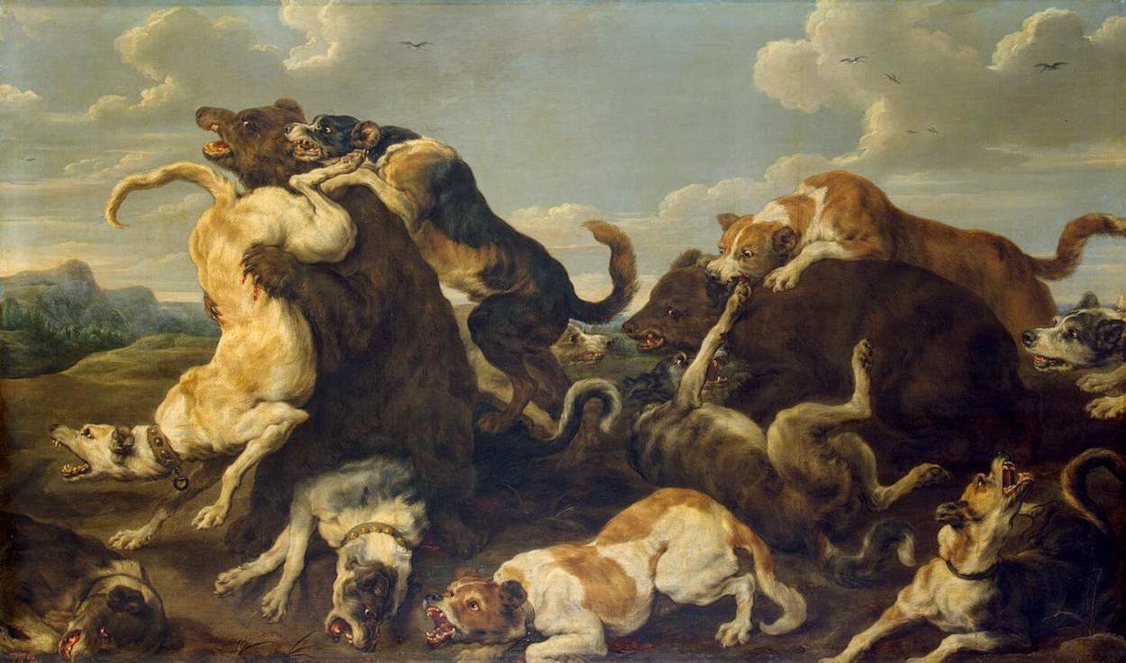 Chasse des ours