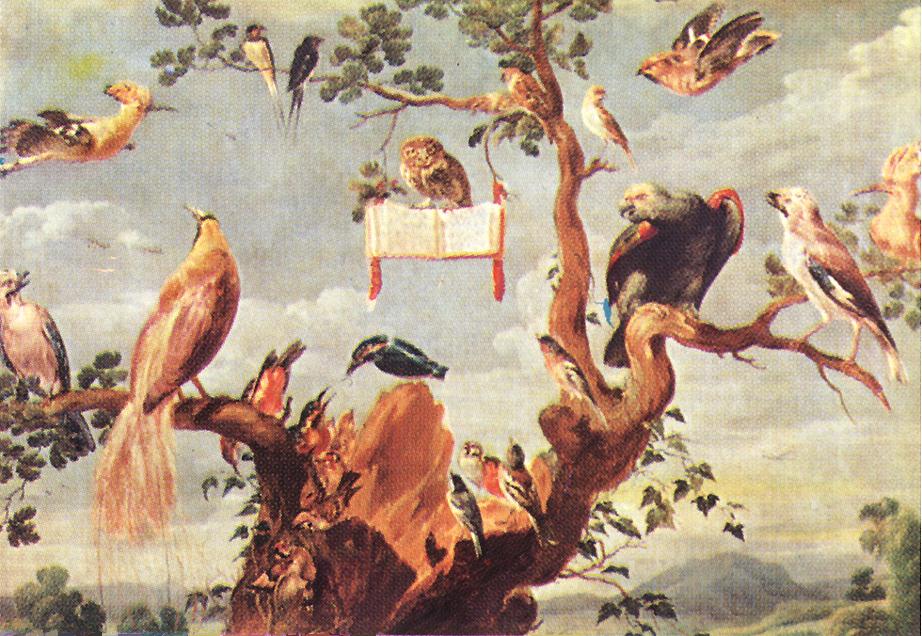 Concierto de Pájaros