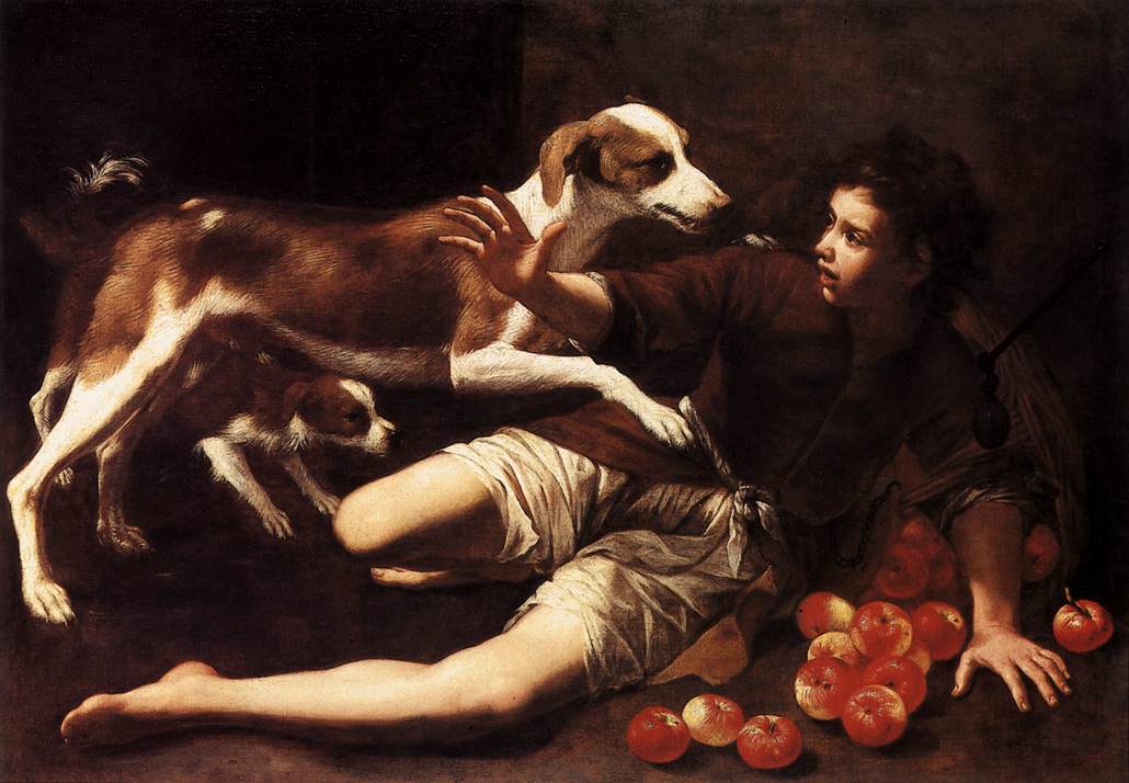 Ragazzo attaccato da un cane