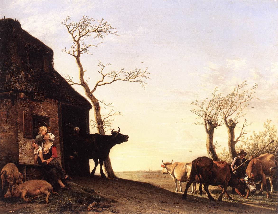 Fahren Sie am Morgen Rinder ins Gras