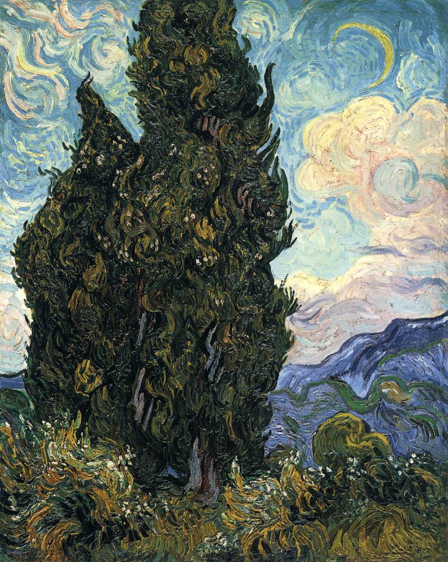 cypresses