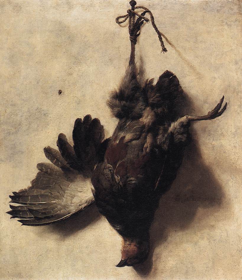 Mrtvá partridge