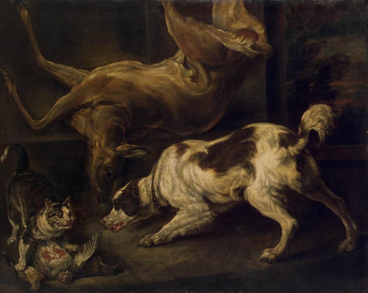 Cerf, chien et chat